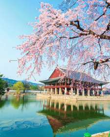 HÀN QUỐC 5N5Đ (25.03.20) BAY VNA