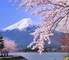 NHẬT BẢN 5N4Đ (29.03.2020) BAY ALL NIPPON AIRLINES