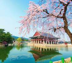 HÀN QUỐC 5N5Đ (25.03.20) BAY VNA