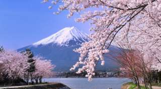 NHẬT BẢN 5N4Đ (29.03.2020) BAY ALL NIPPON AIRLINES