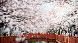 HÀN QUỐC 5N5Đ (21.03.20) BAY VNA