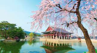 HÀN QUỐC 5N5Đ (25.03.20) BAY VNA