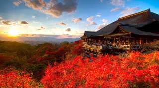 NHẬT BẢN 4N4Đ (30.11.19) BAY ALL NIPPON AIRWAYS